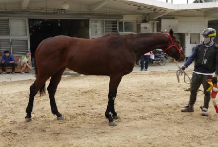 ���簥���� ����