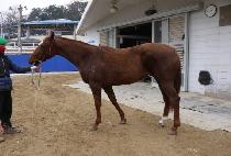 �ص�û (HAEDONGCHEONG) ����