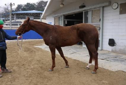 �ص�û ����