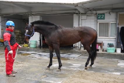 Ŀ�Ǵ��� ����