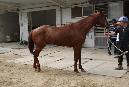 �Ŀ��� ����