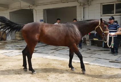 �����Ŀ� ����