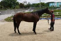 ���ںν��� (ECO BOOSTER) ����