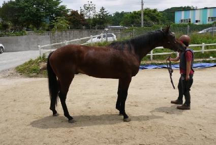 ���ںν��� ����