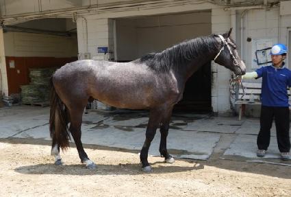 ��߼� ����