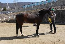 ���õ�� (BAEKDUCHEONBONG) ����