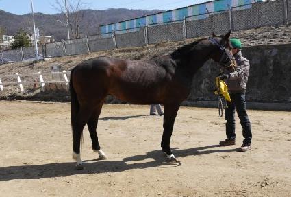 ���õ�� ����