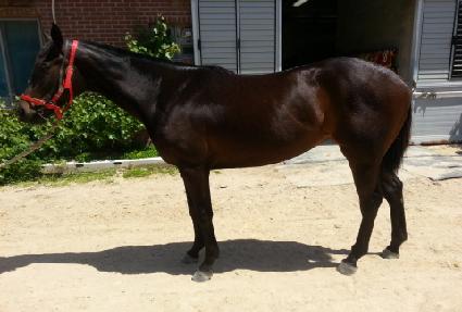 ���׸��� ����