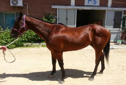 ����õ ����