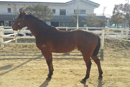 ��ũ��ĳ�� ����