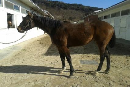 ����è�Ǿ� ����