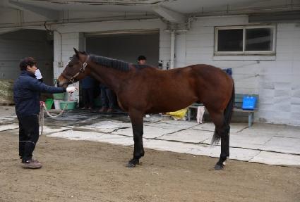 ���θ���Ŀ ����