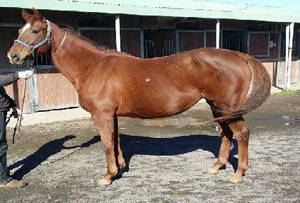 �ݸ����Ȧ ����