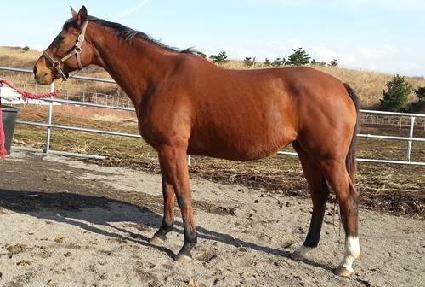 ��Ʋ�����Ŷ ����