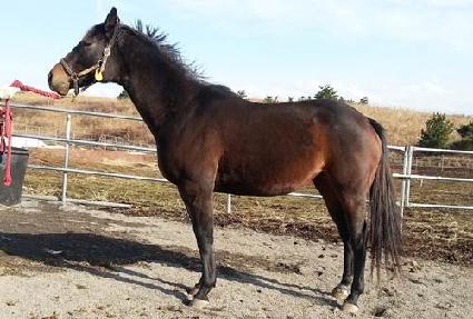 �����ۺ�Ʈ ����