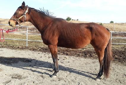 ���ξ�꽺���� ����