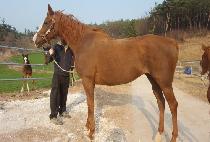 ��������� (SHE��S GOT SWAG) ����