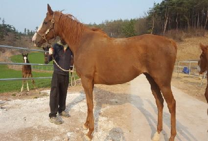 ��������� ����