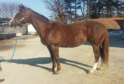 ����ġ�� ����