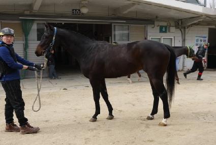 ü������ ����