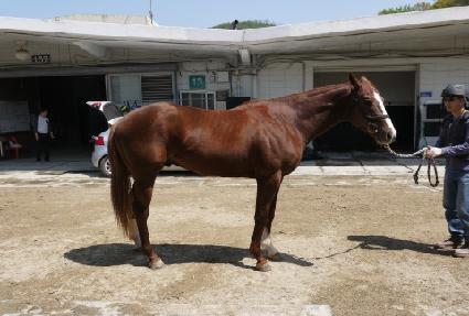 �ظ��帲 ����