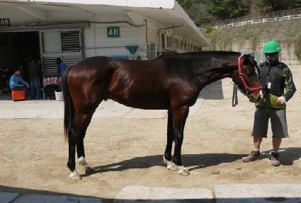 ���Ǵ�� ����