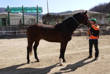 ����õ�� ����