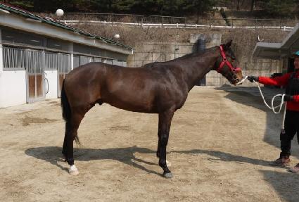 ����ö�� ����