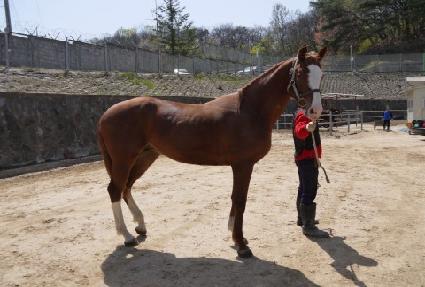 ��ī��ī ����