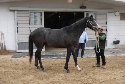 ����̴� ����