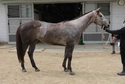 ��Ű���̴� ����