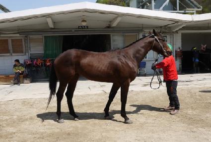 ����¯ ����