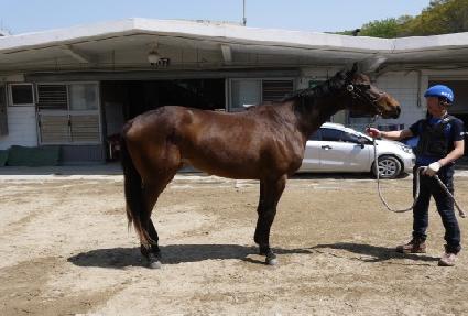 ī�������� ����