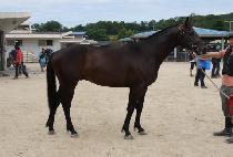 ���ӹ̼� (FORMER MISSION) ����