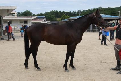 ���ӹ̼� ����