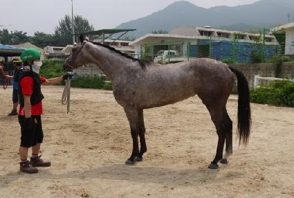 ����ȯ�� ����