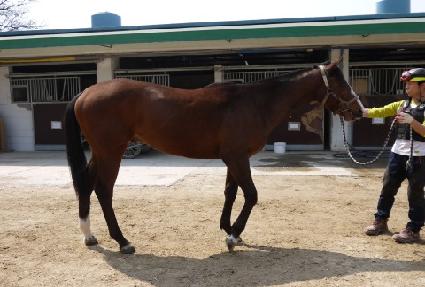 ���̴װ��� ����