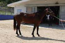 ���Ǳµ��� (HAPPY GOOD DAY) ����