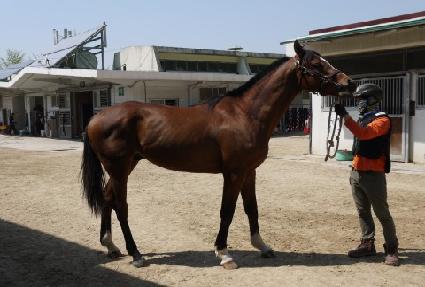 ������ȣ ����