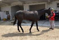 �����ϰ� (SEONJE ILGYEOK) ����