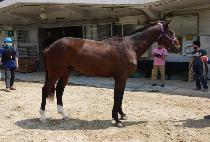 �������� (SEMYEONG DERBY) ����