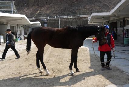 ��Ÿ�� ����