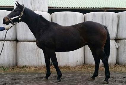 �̽����� ����