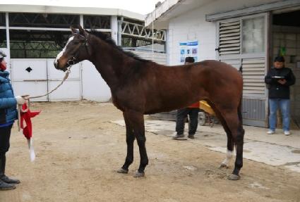 è�Ǿ�۷θ� ����