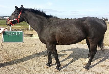 ��Ű������ ����