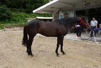 ��ī������ (SKY JEWANG) ����