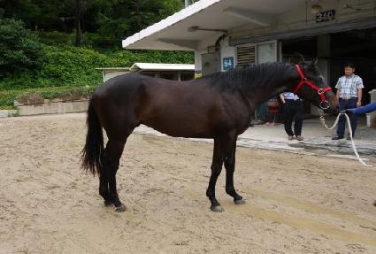 ��ī������ ����