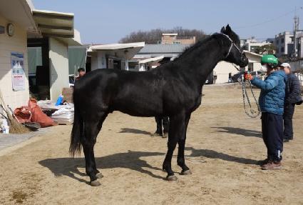 ���뺴�� ����