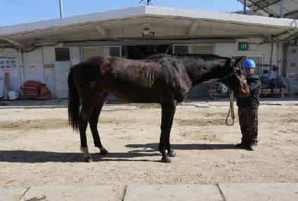 ����Ʈ��ũ ����