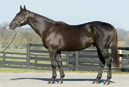 Ŭ���������Ʈ ����